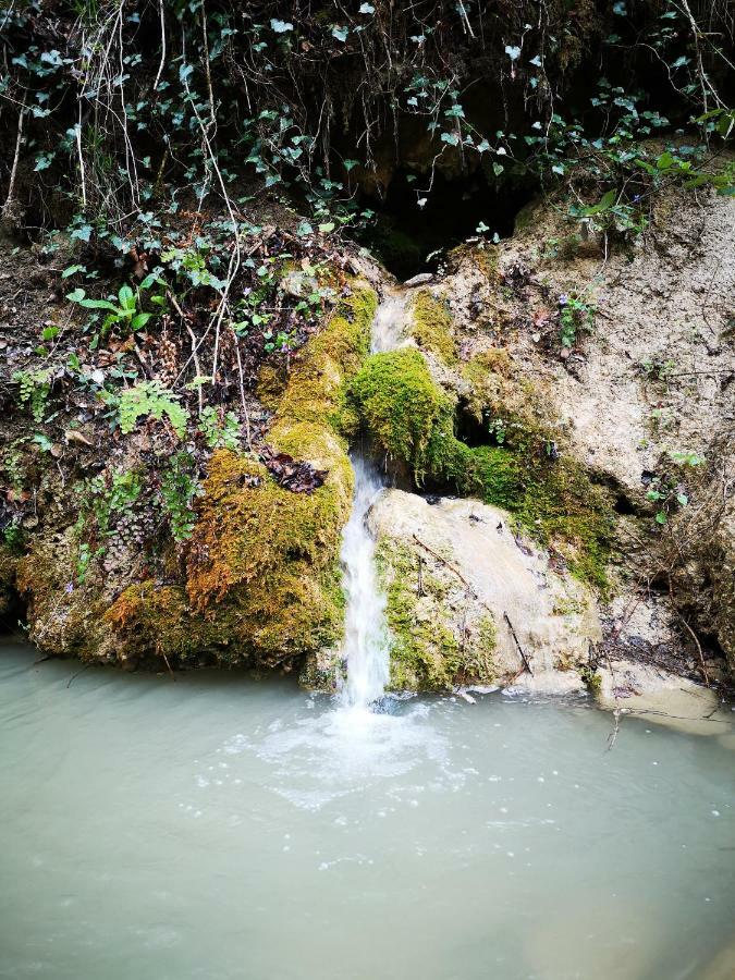 מלון Šmarje Eco Camp Supot מראה חיצוני תמונה